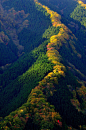 日本 Tenkawa山脉 Namego谷 美丽秋色