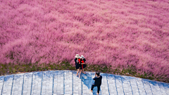 虚胖的二大爷采集到空间——花海