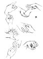 【教程】个人觉得挺实用的·♪(ˊ ω ˋ’)〕微博收刮_漫画吧_百度贴吧