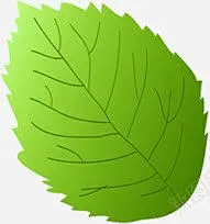 春天手绘纹理树叶高清素材 免费下载 页面网页 平面电商 创意素材 png素材