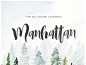 Manhattan Brush Font Duo 曼哈顿刷字体二重奏