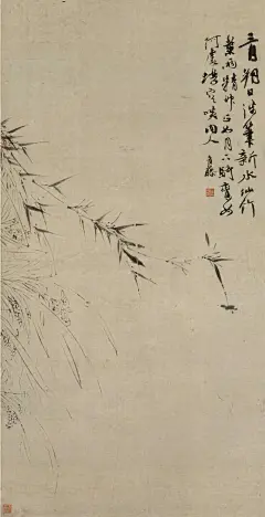 青藤道士写竹