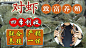 对虾