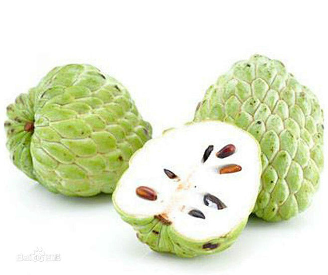 番荔枝（学名：Annona squamo...