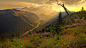 #mountains, #flowers, #grass, #trees, #clouds | Wallpaper No. 158175 - wallhaven.cc