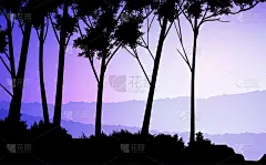 天然森林山地平线山树木的剪影。傍晚日出和日落。风景壁纸。矢量插图风格。色彩斑斓的视图的背景。