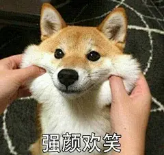 (15 条消息)哪些表情包让你看一次笑一次？ - 知乎