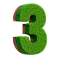 number_3_grass_3d_render1