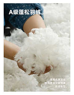 叶孤城i采集到材料