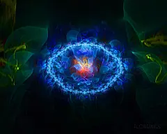 华丽分形艺术炫彩花卉壁纸桌面壁纸1