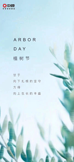 dcl1599采集到字体/版式