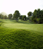 Image: The best types of grass to bring excellence to golf courses at La ... : Found on Google from lamangaclub.com