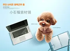 可爱宠物猫咪狗狗和人相处生活工作海报画报PSD设计模板psd505-淘宝网