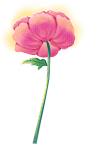 花花