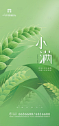 清爽小满节气海报-源文件
