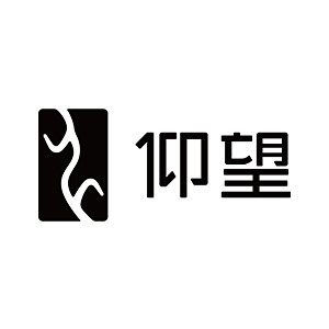 BYD比亚迪仰望