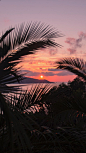 1087 Pinterest