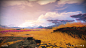 Steven Klipowicz : I'm a 3D digital artist who has worked at Bungie since 2013 on the environment art team, where I work mostly on natural palette and world art. I have been working on games and movies since 2003.

https://www.instagram.com/lizardbraining