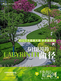 To鳄鱼小姐123采集到排版