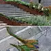 【毕尔巴鄂市：“花园上楼梯”】这个名为“花园上楼梯”小型公园，位于两幢矾崎新大厦之间。具体做法是在阶梯上种植本地和外地的植物，延伸到建筑师圣地亚哥·卡拉特拉瓦设计的“内尔韦恩河步行桥”Nervion River Footbridge意向图 景观前线 访问www.inla.cn下载高清