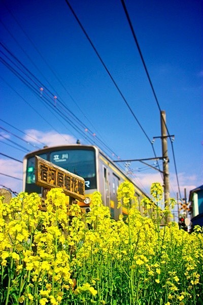 人生也像坐火车一样，过去的景色那样美，让...