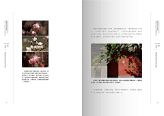 WdPyclZm采集到杂志