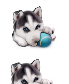 Husky process.png