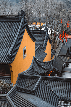 阿轩的田园风采集到场景