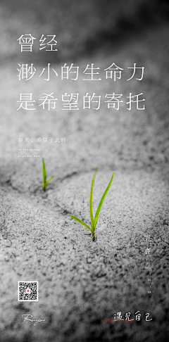 yannonono采集到【24节气】- 立春/雨水/惊蛰/春分