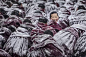 
作者:  Jianjun Huang
拍摄地点:中国甘肃甘南藏族自治州
作品描述: 在一座喇嘛庙,由于大雪,僧侣身上的长袍都覆盖着一层厚厚的雪。一个年轻的喇嘛微笑着回头,摄影师捕捉到他的笑脸。