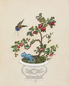 花卉虫鸟盆景图 清 佚名 - 小红书