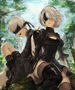 包菜君采集到NieR