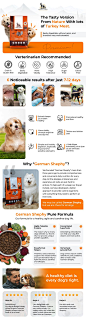 Increase Amazon EBC listing conversions with Enhanced Brand Content (EBC)/A plus content design.
In the EBC module, More images and text have been shown to increase sales velocity.

I will design EBC or A Plus content that is both professional and effecti