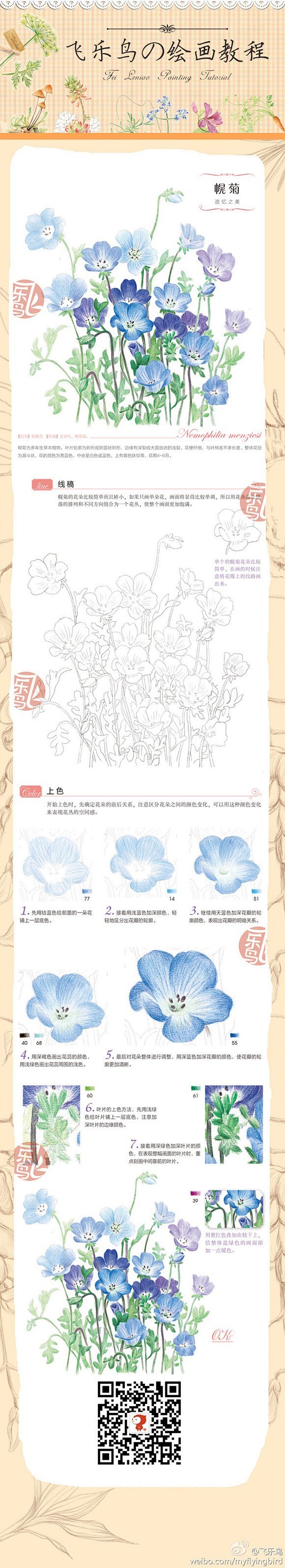 彩铅 水彩 步骤 教程 花 #治愈系# ...