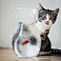 Hungry by Anita Meezen