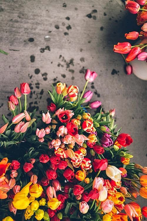 Pile of Tulips. | **...
