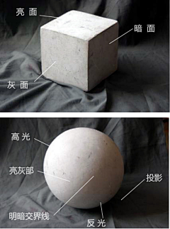 尤里不吃鱼采集到绘画基础