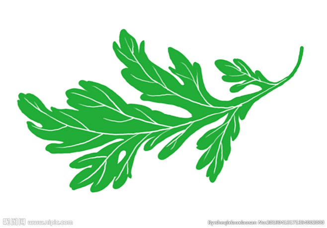 手绘艾叶