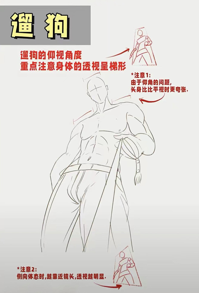 仰视