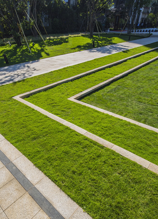 珠海星河传奇展示区新亚洲草坪跌级种植下沉草坪景观设计sed新西林