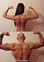 【绘画教程】一张图告诉你男女背部肌肉比例发达程度的区别