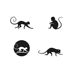 猴子  - 源文件下载【酷图网】白底高清,动漫卡通形象,原创卡通,动物形象,卡通小猴,卡通可爱小鸡,呆萌小猴,萌,可爱,Q版,猴,生肖,猴年,卡通,小猴,生肖猴,卡通猴,十二生肖,中国元素,十二属相,传统文化,十二生肖猴,国潮,可爱卡通猴子,跳舞的小猴,手绘漫画猴子,Q版小猴