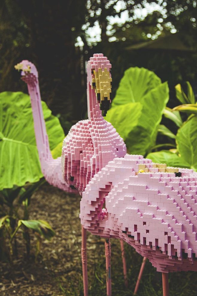 Lego Flamingos!