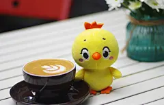 小黄鸡高登摄影作品（6）