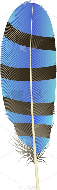 时尚,条纹,羽毛,图标,华丽的,请柬,浪漫,鸟类,写实,复古