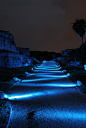 Landscape Lighting