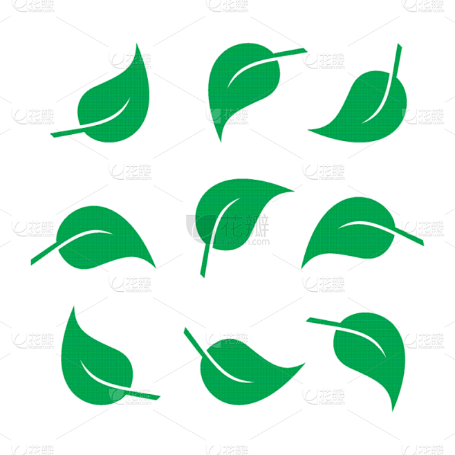 叶子,图标集,夏天,春天,形状,绿色,华丽的,干净,概念,清新