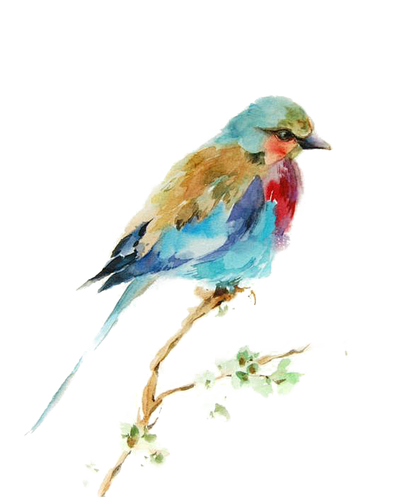 小素材PNG