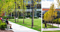 Salem State University: Learning Commons | Mikyoung Kim Design - Landscape Architecture, Urban Planning, Site Art