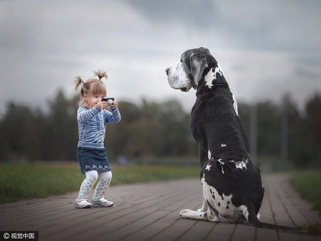 人类和动物间的亲密友谊 大狗和小孩满满都...